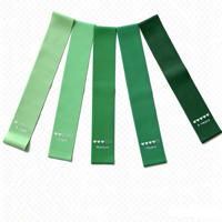 Bandes de Résistance pour Entraînement des Fessiers Directes du Fabricant, en TPE, pour Usage Domestique, Bandes de Fitness en Boucle pour Adultes pour Entraînements des Fessiers