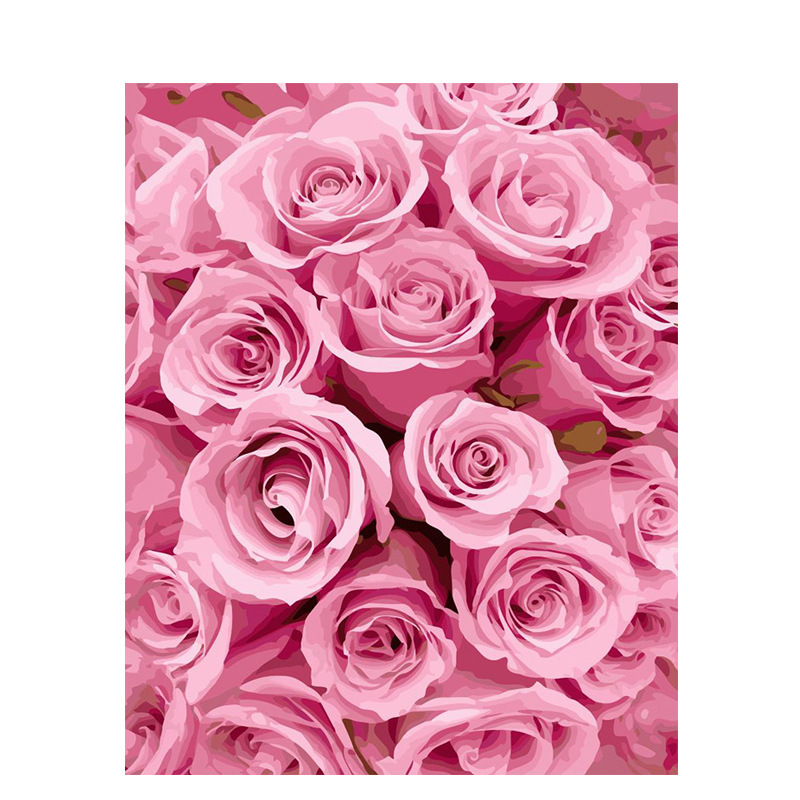 334 pink roses