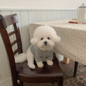 Sudadera con Capucha para Perro Otoño Invierno con Bolsillo, Sudadera Acogedora para Perros Pequeños y Medianos, Ropa Linda para Cachorros - Product Image 6