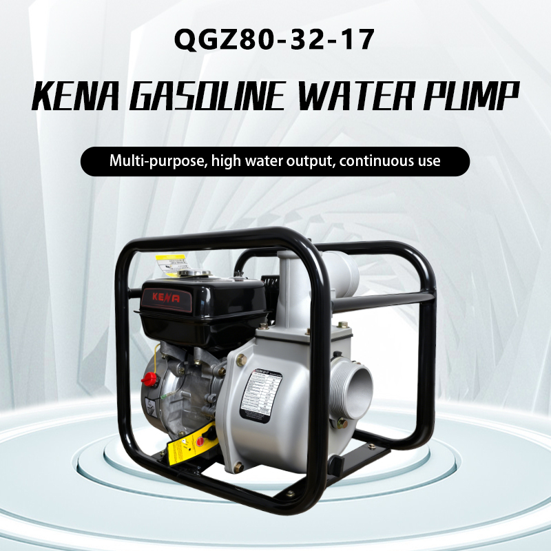 Portable High Lift 3 Inch Gasoline