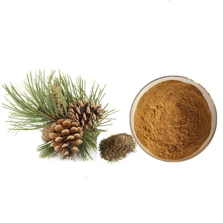100% Natural organic pine needle extract powder low price for sale