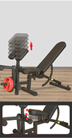 Banc de musculation multifonctionnel réglable, chaise de prédicateur, banc de musculation assis, siège pour exercices musculaires