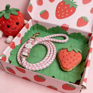 Correa de Nailon Trenzada Resistente para Perros, Hecha a Mano, para Pasear, Entrenar y Actividades al Aire Libre, con Gancho de Metal, <span class=keywords><strong>2026</strong></span> - Product Image 3