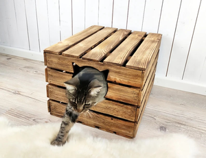 Moderne Bruine Houten Kattenbak Meubels Met Indoor Kattenhuis Bed Warme Huisdierenbedden Veilig Duurzaam Cattery Kattenhuis Binnen - Product Image 1