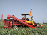 Moissonneuse d'ail d'arachide Offre Spéciale pour l'arachide modèle de chaîne de tracteur de marche