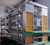 Jaulas para pollos completamente automáticas multicapa tipo H para granja avícola modelo MT marca nueva y superventas de acero galvanizado 128