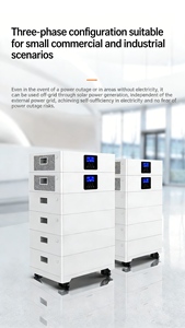 Module de batterie de stockage d'énergie domestique empilable en phosphate de fer et de lithium avec charge rapide - Product Image 2