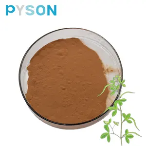 식물 추출물 Testofen Fenugreek 추출물/Fenugreek 씨 추출물/무료 샘플 Fenugreek 추출물