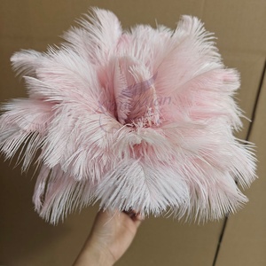 <span class=keywords><strong>Plumeau</strong></span> en Plumes d'Autruche de Haute Qualité, Emballage Personnalisable, Lavable, pour Usage Domestique - Product Image 2