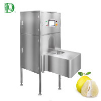 DQ Guangdong Industriële Intelligente Fruit Pomelo Schilmachine PLC-gestuurd Commerciële Automatische Multifunctionele 500 Stuks/uur