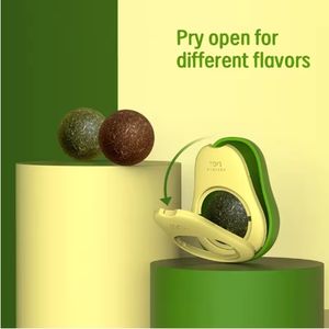 Avocat cataire balle interactif jouet <span class=keywords><strong>pour</strong></span> animaux de compagnie <span class=keywords><strong>pour</strong></span> chats chiens en plastique auto-salut boules <span class=keywords><strong>pour</strong></span> molaires dents nettoyage léchage Coccidia Gall - Product Image 3