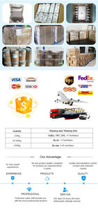 최고 품질의 빌베리 추출물 25% 안토시아닌; 빌베리 추출물 - Product Image 6