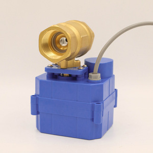 Vanne à bille électrique miniature à haut débit DN20 9-24V/220V à deux voies à couple élevé pour le contrôle de l'eau, prise en charge OEM - Product Image 1