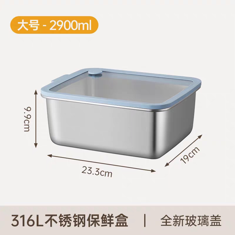 2900ml