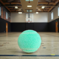 Balles de tennis Macaron vert menthe Série légère d'entraînement professionnel 1.2m/1.47m Hauteur de rebond Haute élasticité Durable PET Play