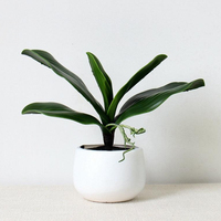 Plantes artificielles en verdure, feuilles d'orchidée papillon, toucher réaliste, sensation de toucher réel pour la décoration de la maison et du bureau