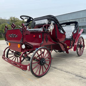 Chariot de mariage classique à succès, transport spécial pour les mariages, les excursions et les visites touristiques - Product Image 1