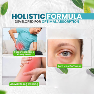 Capsules amincissantes OEM ODM Water Push 12 feuilles de thé vert naturel et vinaigre de cidre de pomme pour soutenir la digestion et la perte de poids chez l'adulte - Product Image 6