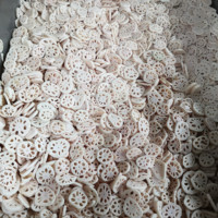 Dq Guangzhou Daqiao Industriële Commerciële Vers Fruit Snijden Productielijn Lotus Wortel Snijden Machine Kern Motor Component