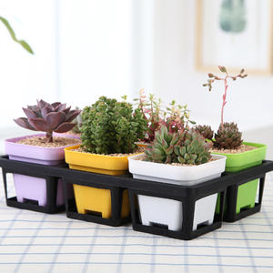 P254 Pot de fleurs épaissi 6 trous Pots de semis durables Support <span class=keywords><strong>Navette</strong></span> Plateaux de transport Pots de démarrage de graines Plateaux mobiles - Product Image 1