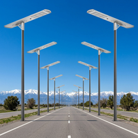 Contrôleur solaire MPPT en silicium monocristallin, lampadaire solaire extérieur, indice de protection IP65, LED 100W, garantie de 3 ans