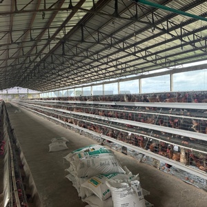 Nouvelle cage à poules automatique en acier galvanisé et alliage d'aluminium, 3 niveaux, 4 portes, poulailler pour 96 poules pondeuses - Product Image 5