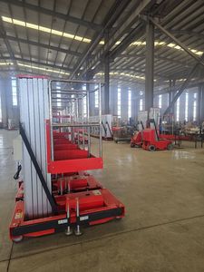 Wartungsarmer Einzel-Säulen-Aluminiumlift für Lager-Förderband-Inspektion - Product Image 4