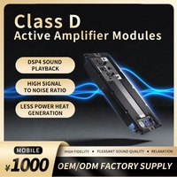 Module amplificateur de système de haut-parleurs actifs professionnels en métal, 2 canaux, 800W, classe D, pour amplificateur <1% THD 115V-230V