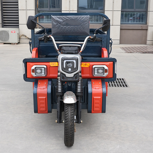 Hete verkoop 1000W vracht driewielige elektrische driewieler voor gebruik op de boerderij elektrische driewieler motorfiets - Product Image 2