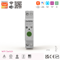 Disjoncteur intelligent WiFi en cuivre et plastique 1P+N TUYA avec compteur, 63A, télécommande sans fil pour usage industriel et domestique