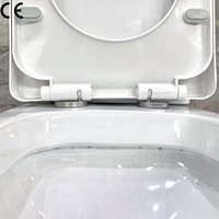 WC en céramique blanche à deux pièces, design moderne, économie d'eau, siphon en forme de P, prix économique direct d'usine, pour salle de bain