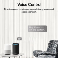Tuya Moderne Intelligent Simple Double Rideau Électrique En Alliage De Métal Piste Mini Moteur Type Caché Support Alexa Contrôle