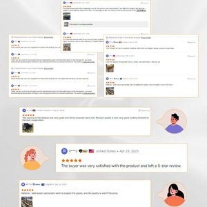 Nordic moderno lusso oro poltrona per sala da pranzo Hotel e palestra accento mobili per casa soggiorno e camera da letto - Product Image 6