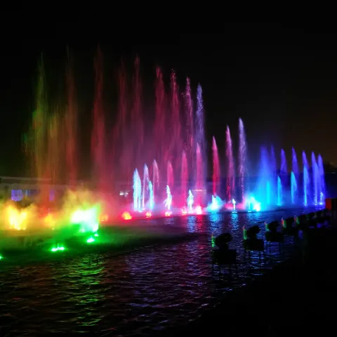 Muziek Spelen Water Tuin Fontein Dansen Fonteinen