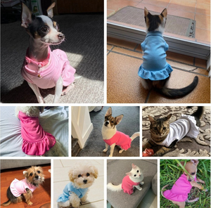 Vestido de Princesa para Perro en Color Caramelo, 12 Colores, Poliéster, para Perros Pequeños, con Encaje, para Primavera/Verano, También para Gatos - Product Image 3