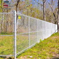 Clôture en treillis métallique de haute qualité, galvanisée à chaud, anti-corrosion, en vente