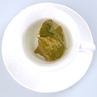 Natürlicher Getrockneter Ginkgo Biloba Loser Tee Trockene Grüne Ginkgo Biloba Blätter Tee Kräuter Getrocknete Ginkgo-Blätter