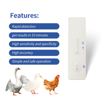 Newcastle Disease Virus Antigen Rapid Test Kit for Poultry Veterinary Instrument to Detect Birds in Chickens Ducks Geese