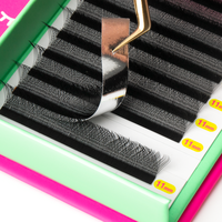 Extensions de cils en forme de W 3D 4D 5D 6D, directement de l'usine, OEM ODM, marque privée, conteneur complet, vente en gros pour la fourniture de cils