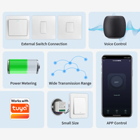 Interrupteur Wifi MINI Tuya 16A DIY, contrôle à distance unidirectionnel, minuterie, relais, automatisation pour la vie intelligente, compatible avec Alexa et Google Home