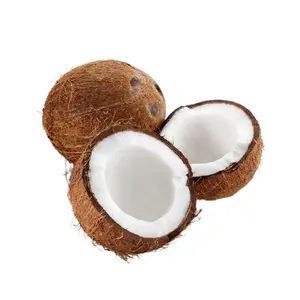 Los más vendidos 2023 Agricultura Coco natural Coco seco 12 13 cm Fabricación de Vietnam Listo para enviar - Product Image 1