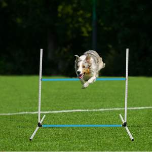 Equipo de entrenamiento para mascotas, equipo de entrenamiento de agilidad para perros, resistente al agua, último diseño - Product Image 3