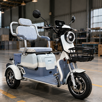 Tricycle électrique homologué EEC DOT SWEX3 pour 2 passagers avec coffre verrouillable et panier avant, scooter de mobilité