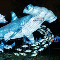 Decoración de Faroles con Forma de Grandes Animales Marinos para Parques de Diversiones, Navidad, Uso Interior/Exterior, Espectáculo de Luces para Parques Temáticos