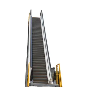 FUJI Indoor Outside Commercial Escalator Moving Walk with Vvvf and Auto Start Stop China Manufacturer