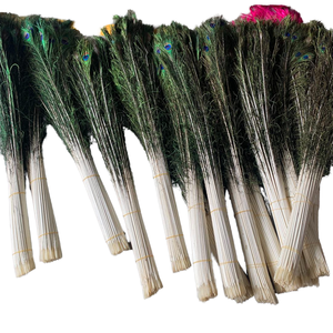 Plumes de paon exotiques brutes de haute qualité, artisanat fait main, fabrication de bijoux, attrape-rêves, décoration, décoration intérieure, fête de mariage, Soraj - Product Image 4