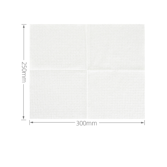 50 pezzi/scatola (25*30 cm)