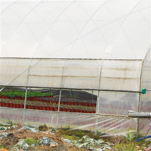 Serre <span class=keywords><strong>agricole</strong></span> commerciale isolée, serre-cercle, à vendre, <span class=keywords><strong>2021</strong></span>, Offre Spéciale - Product Image 2