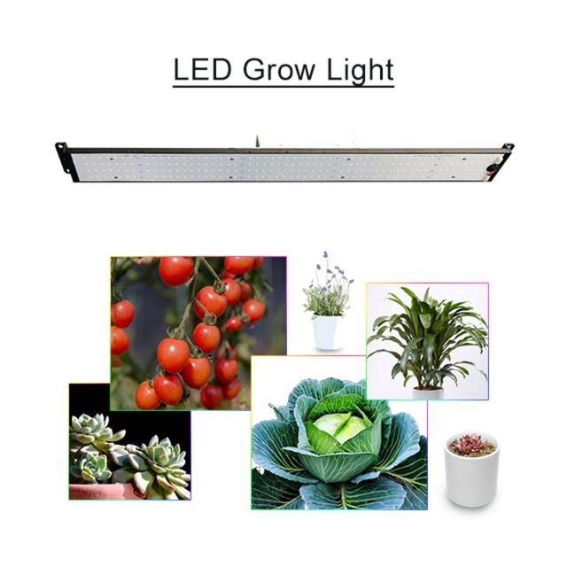 Blooming COB LED Grow Light with Full Spectrum 1400W 5x7ft Coverage for Flowering Plants