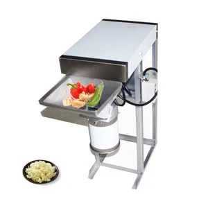 Small commercial Vegetable Crushing Machine garlic ginger chilli crush machine Onion Paste Make Machine